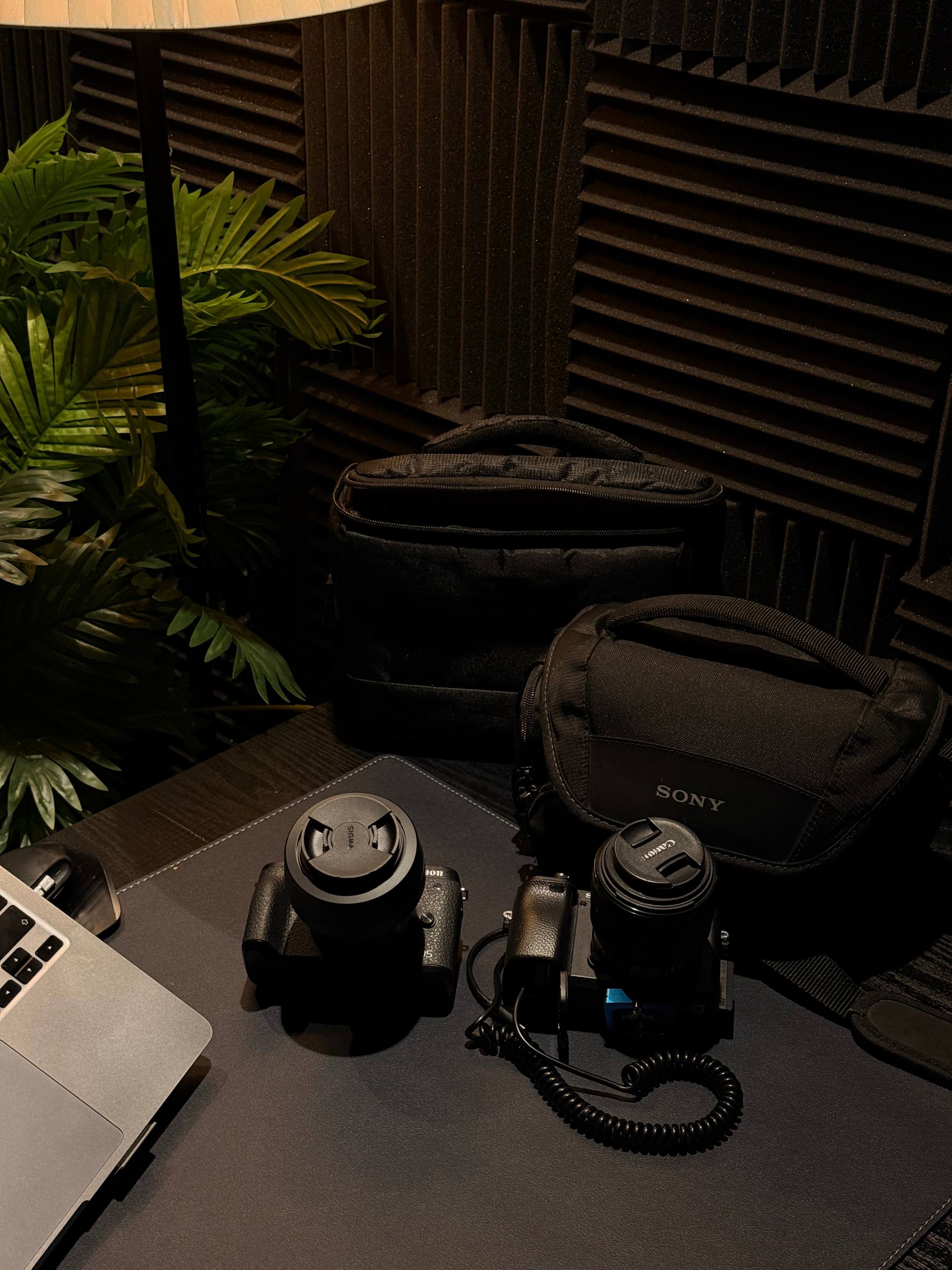 Студия PodcastBro — камеры Sony